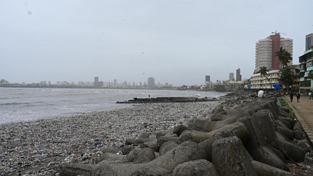 Environmentalists and residents have repeatedly highlighted the issue, calling for better waste management at source and stricter drain cleaning before the monsoon