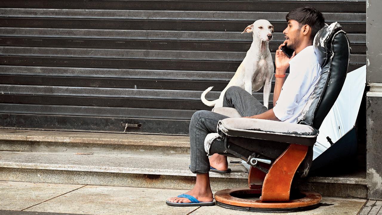 Pic/Atul Kamble