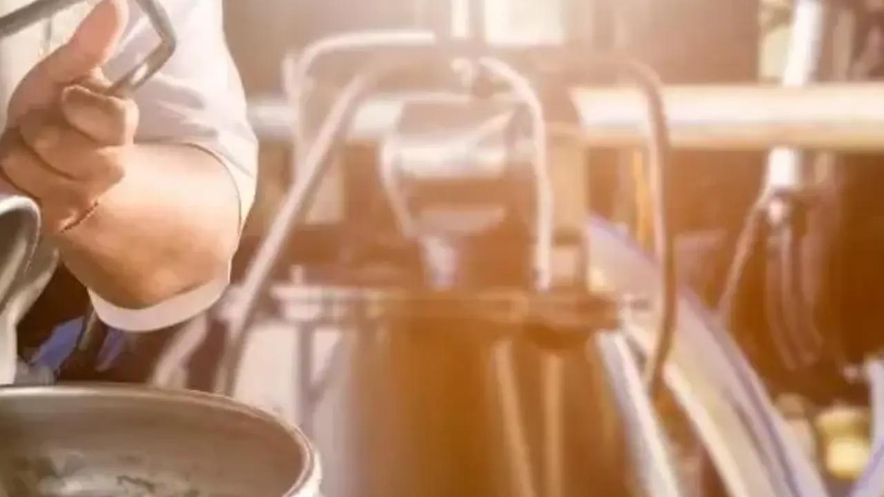 Maharashtra FDA records four-fold rise in food sample testing in one year Representational Image