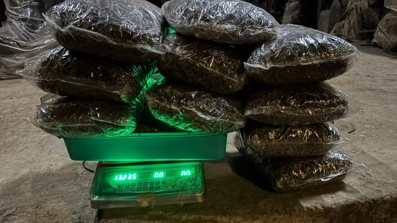 Ahmedabad Customs seize suspected ganja parcel from Thailand disguised as wooden blocks