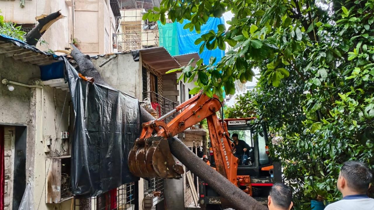 After receiving information about the incident, RDMC personnel reached the location with a pickup vehicle and a JCB machine.&nbsp;