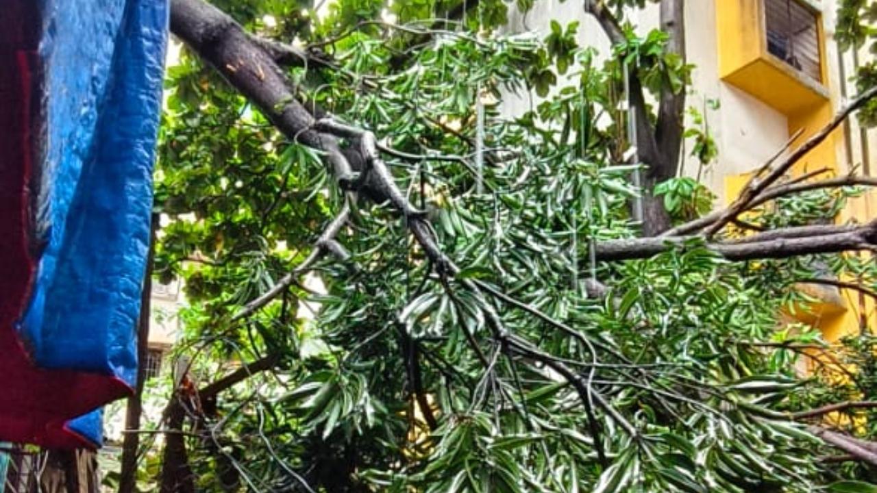 According to officials, the incident was reported at around 9:00 am on July 5 at Yashodhan Niwas Society near Tekdi Bungalow in Panchpakhadi. No injuries were reported in the incident.