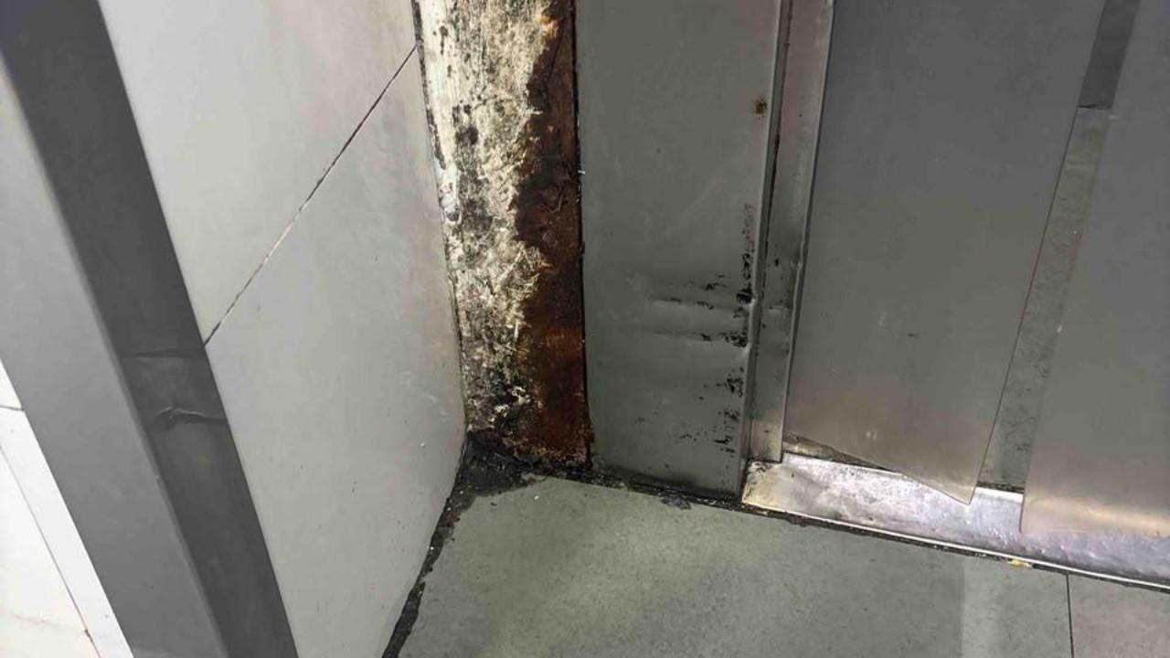 During the inspections, officials allegedly found including fungal growth, pest infestation, inadequate sanitation facilities, and dairy products without expiry date labels, the statement said. Pics/FDA