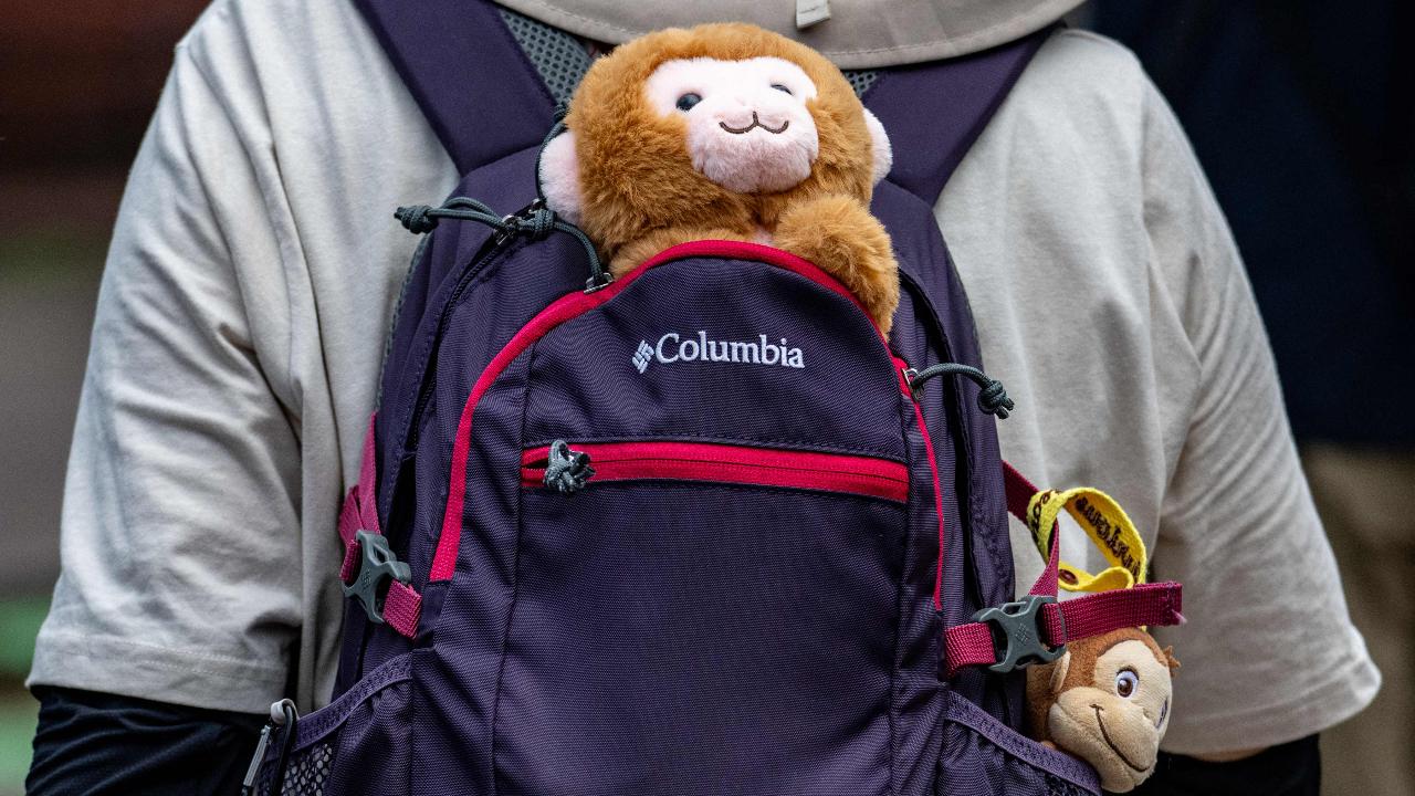 A visitor carrying stuffed monkey toys comes to see the Japanese macaque monkey named 'Punch', a year after he went viral at Ichikawa City Zoo and Botanical Gardens in Ichikawa, on July 24