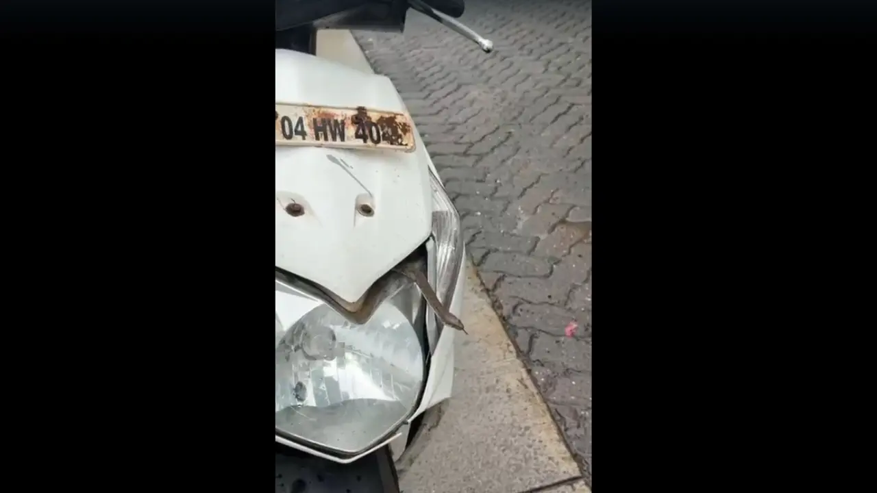 Thane: 1.5-foot water snake rescued from scooter in Hiranandani Estate The snake was safely removed without causing any harm to the animal or the vehicle. Pic/Screengrab