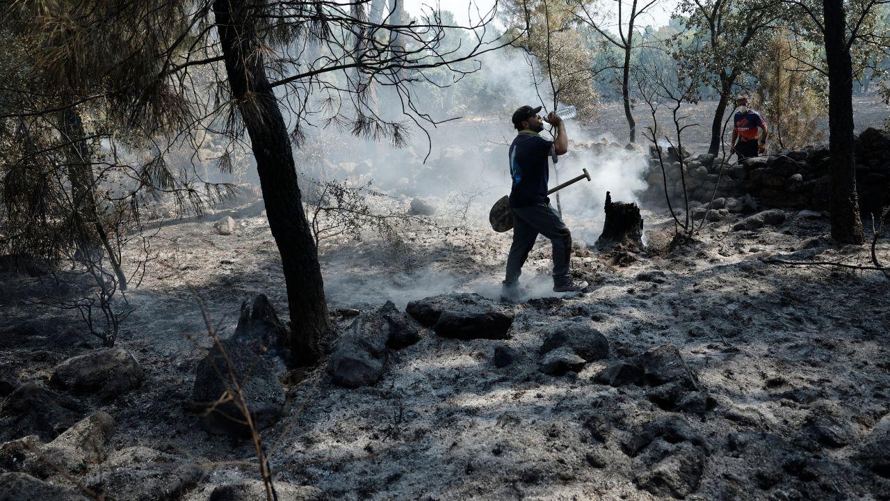 Residents work to extinguish smouldering tree trunks after a wildfire in La Adrada, about 95 kilometres west of Madrid. Describing the blazes as "the most painful expression of a climate emergency", Spanish Prime Minister Pedro S&aacute;nchez said the fires reflect the growing impact of climate change.