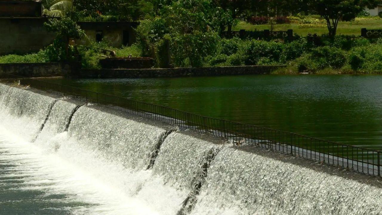 Mumbai lake levels rise to 9.41 per cent as heavy rain boosts water storage Mumbai lake levels stands at 9.41 per cent (File pic)