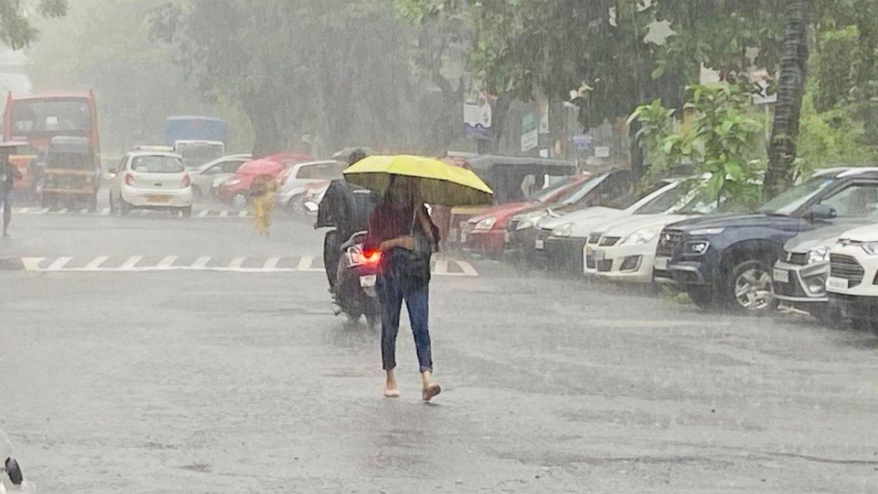 Mumbai rains: IMD issues orange alert as heavy showers and strong winds continue File pic