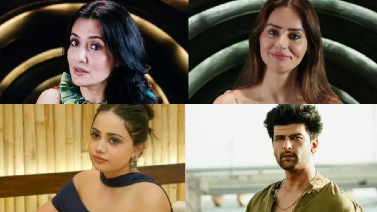 Alliance: Kushal Tandon and Dolly Javed's war escalates as Rivva votes her out