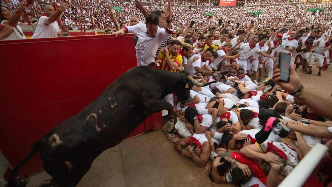 IN PICS | Adrenaline, bulls, and close calls: Spain's San Fermín 2026 kicks off A heifer jumps over runners during the San Fermin bull run in Pamplona, Spain, on Wednesday. (PIC/AFP)