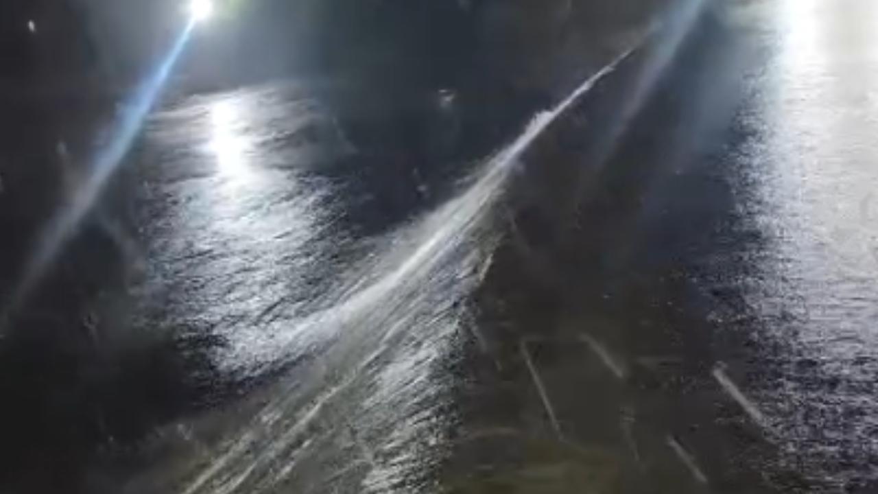 Vihar Lake is one of Mumbai`s oldest water reservoirs. Pic/Videograb