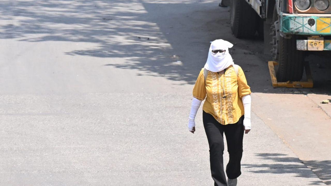 Mumbai's maximum temperature is likely to hover around 32 degrees Celsius on Friday. File Pic