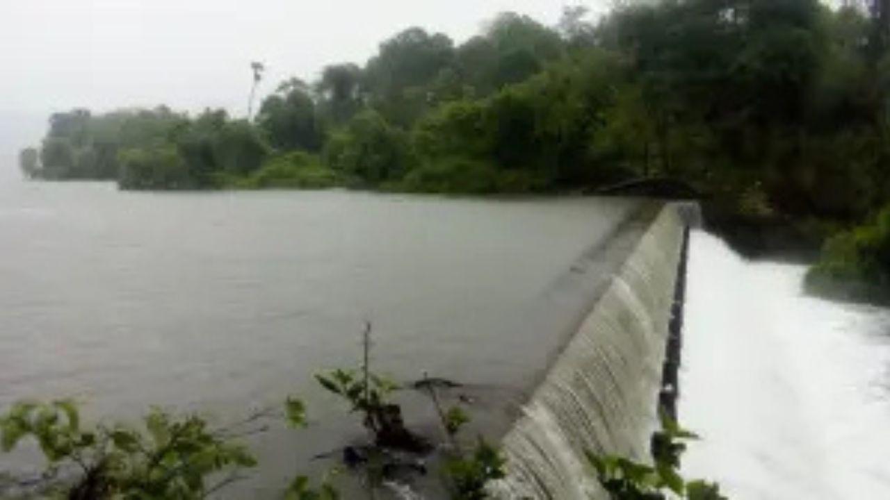 Mumbai LIVE: Lake storage rises to 77.62 per cent after heavy rain The latest data shows that Modak Sagar, Vihar and Tulsi lakes remain at 100 per cent capacity. File Pic