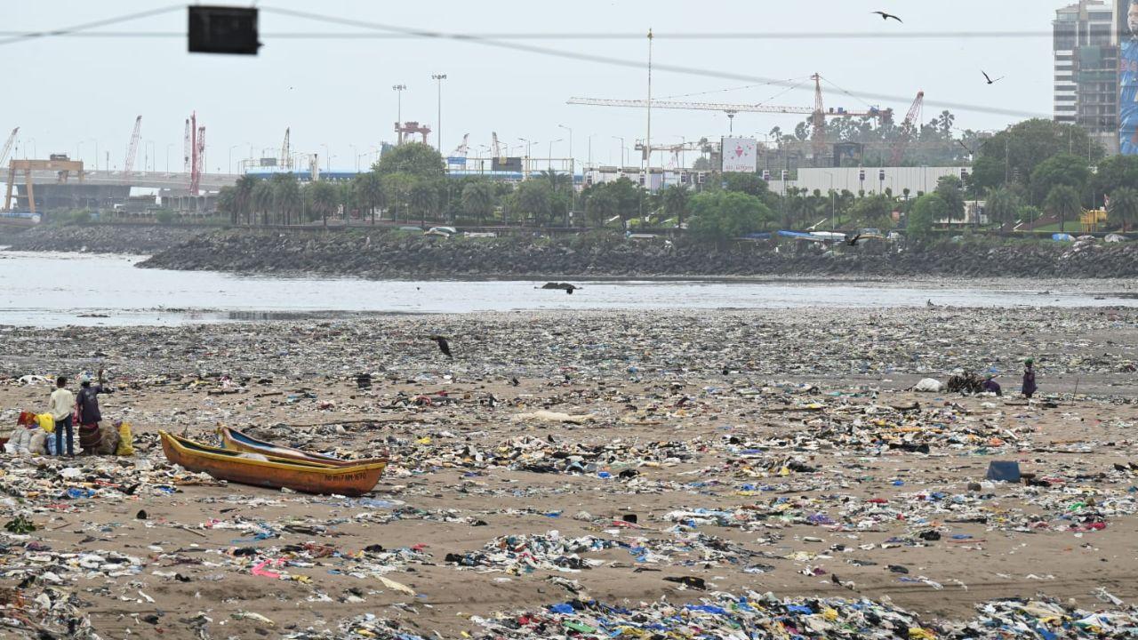 Marine pollution not only affects the city's coastline but also poses a serious threat to marine biodiversity