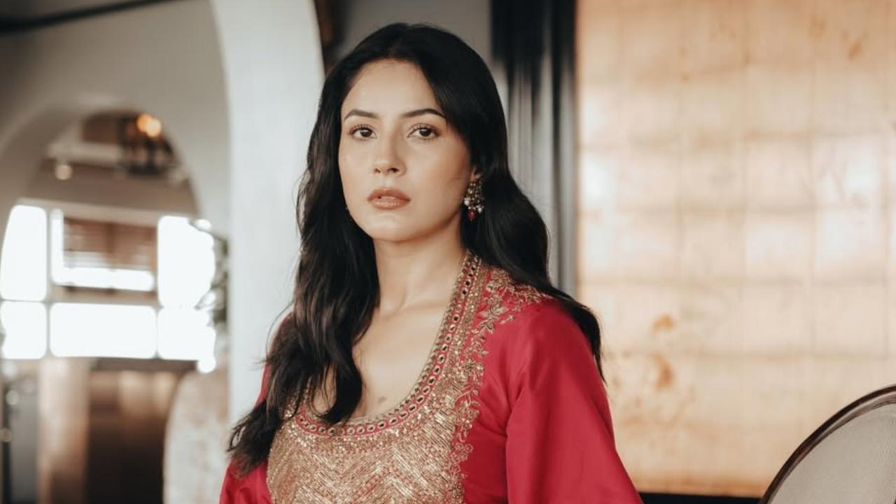 Shehnaaz Gill reacts to being trolled over her therapy comment