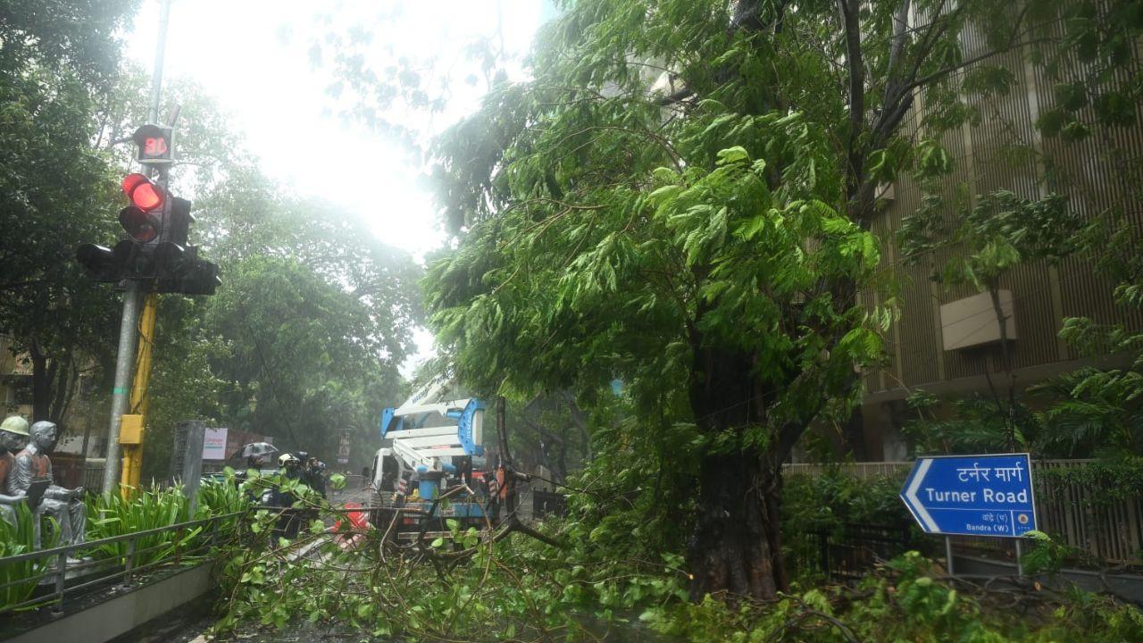 IN PHOTOS: Red alert remains as heavy downpour triggers tree fall incidents The city has already received nearly 80 per cent of its average July rainfall within the first few days of the month, with several areas recording 250–300 mm of rain in the past 24 hours. (PIC/ SATEJ SHINDE)