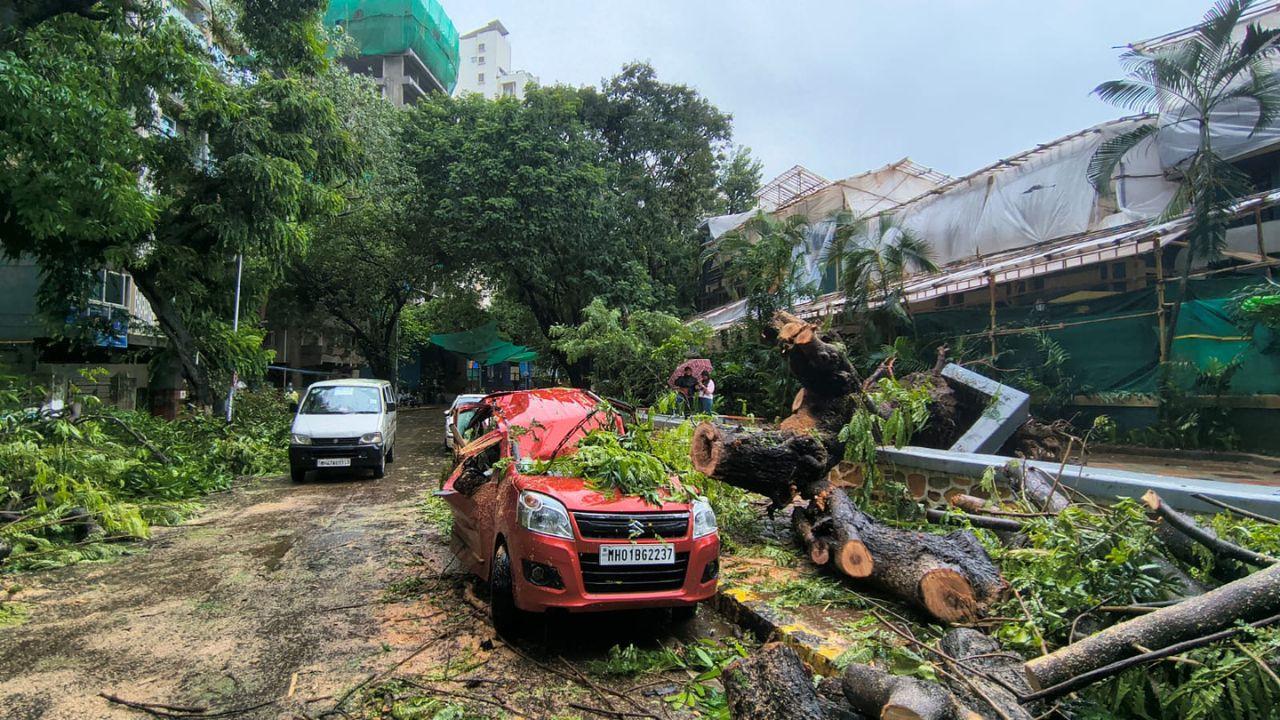 A large tree crashed onto a parked car outside Shivaji Park Gymkhana in Dadar, causing damage to the vehicle. No injuries were immediately reported in the incident. (PIC/SHADAB KHAN)