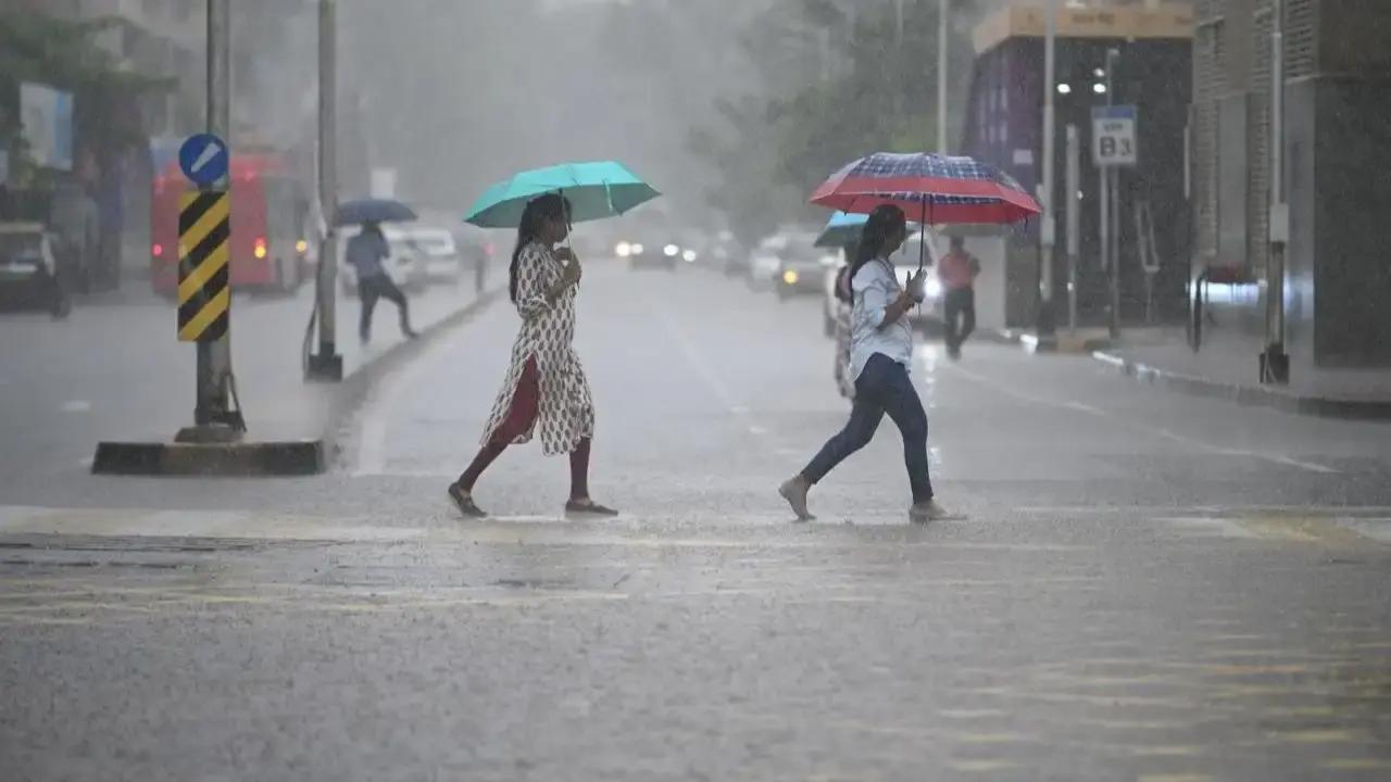 IMD issues yellow alert for Mumbai, orange warning for Thane and Raigad Mumbai is also likely to receive heavy rainfall at isolated places on Friday, along with occasional strong winds gusting up to 70 kmph. Representational pic