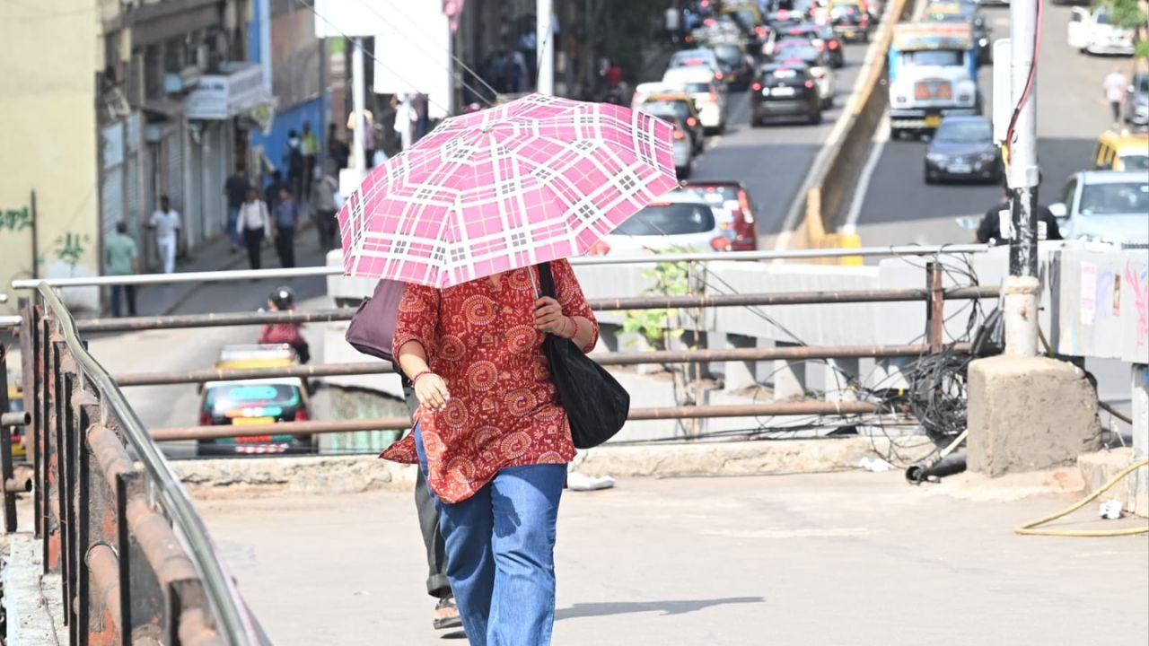 IN PHOTOS: Mumbai’s umbrellas turn into sun shields as heat grips the city As heat lingered over Kalbadevi, pedestrians created their own shade while waiting for the monsoon’s arrival. PIC/SATEJ SHINDE