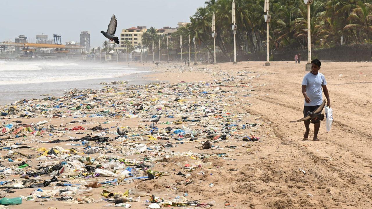 Monsoon tides often wash discarded material back onto the shore, turning beaches into visible reminders of the city's waste management challenges. Monsoon tides often wash discarded material back onto the shore, turning beaches into visible reminders of the city's waste management challenges.