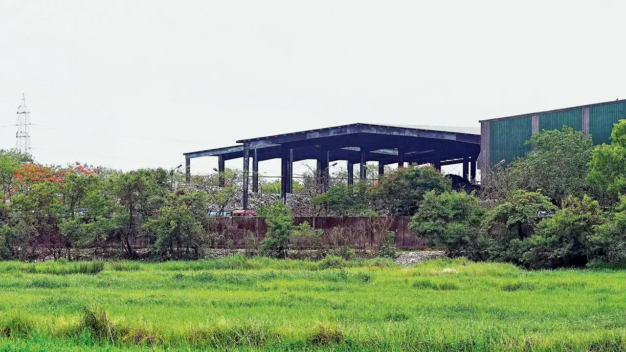 BMC to plant 16,000 trees at Kanjurmarg dumping ground on World Environment Day