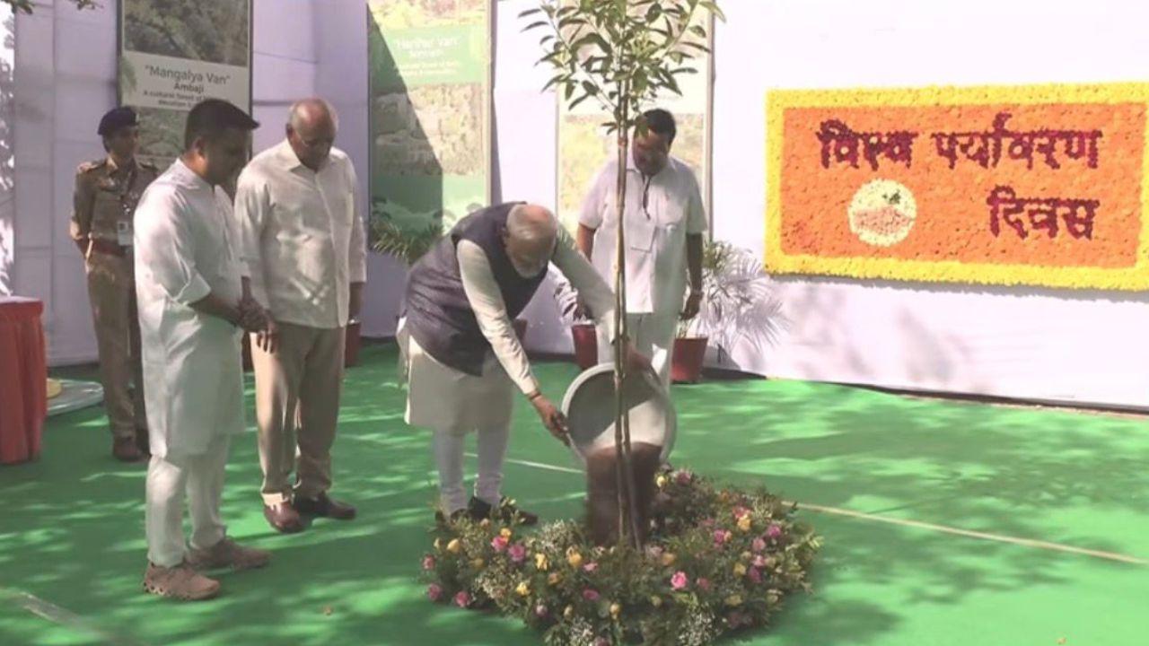 Launched by the Prime Minister on World Environment Day in 2024, the initiative has evolved into a nationwide movement aimed at increasing green cover and promoting ecological awareness