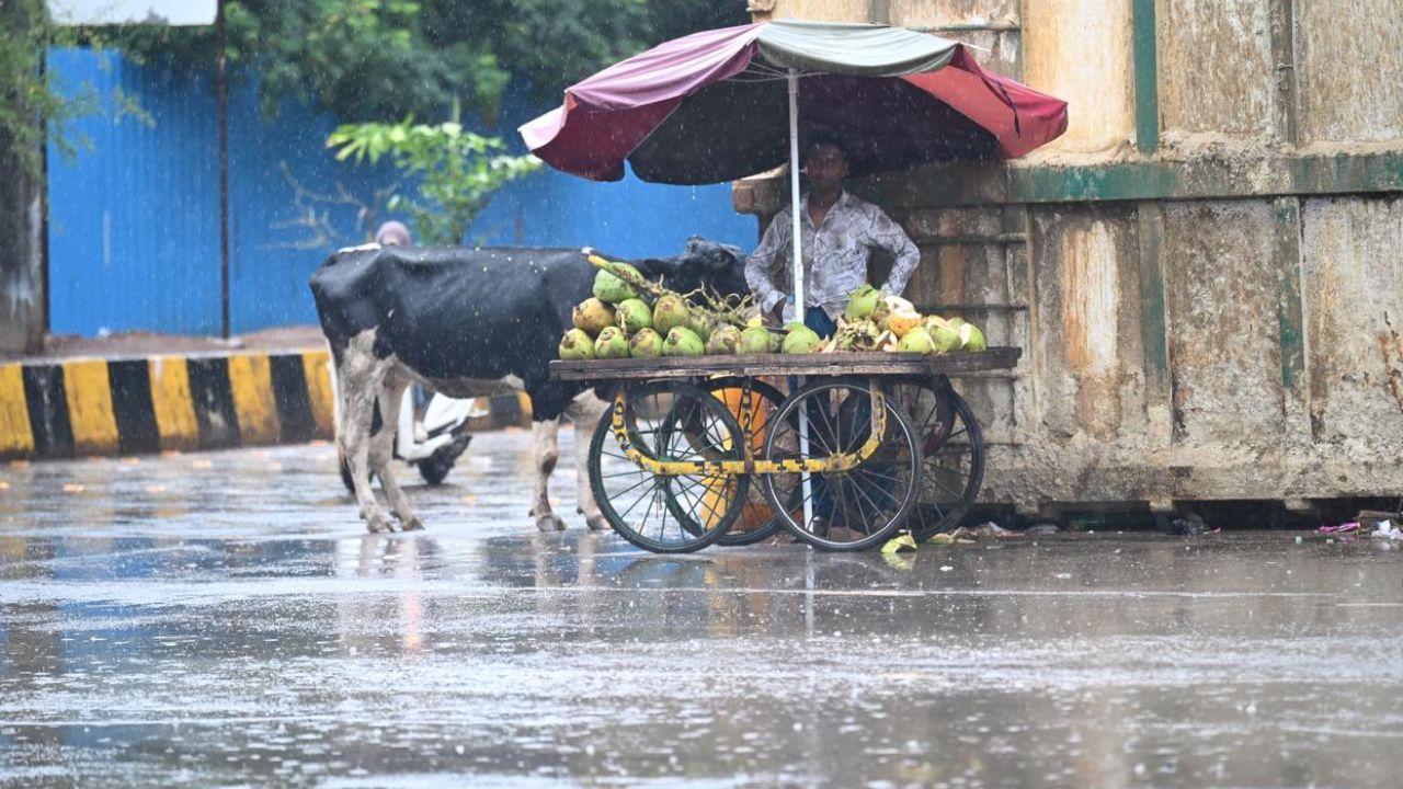 Following the advisory issued by IMD earlier at 7:00 am, the weather forecasting agency highlighted that orange alert across the city is likely to be extended till 3:00 pm on Tuesday