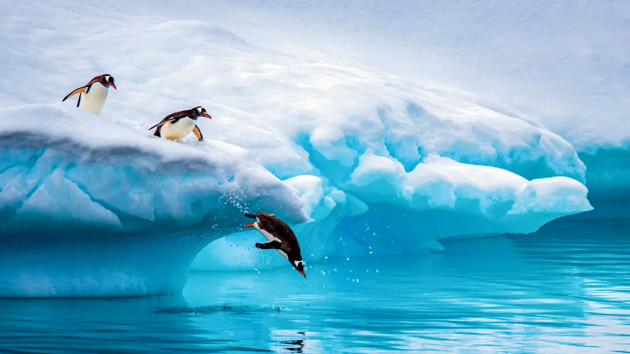 Scientists discover vast hidden geological structure beneath East Antarctica