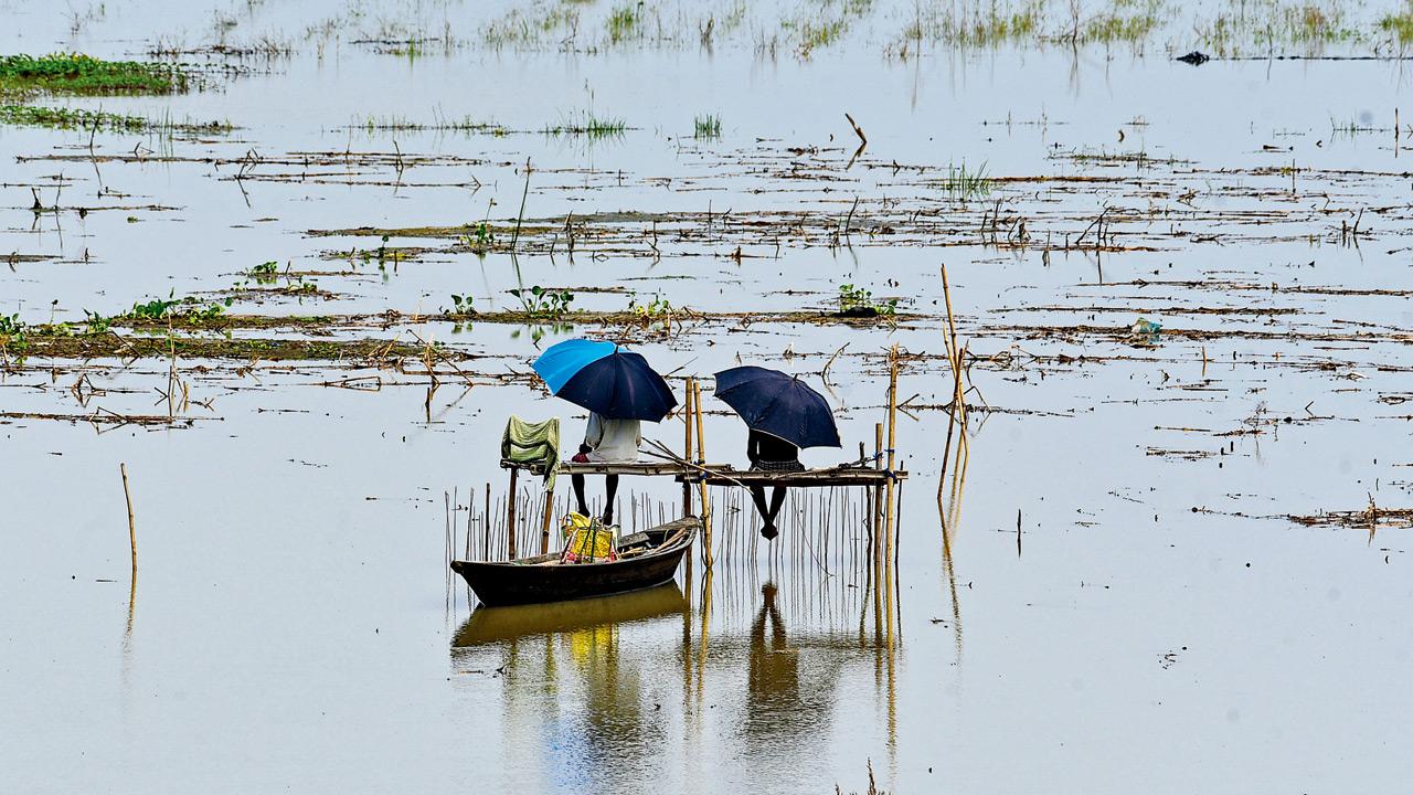 A flooded area in Arunachal Pradesh after a rise in the Brahmaputra river water level. PIC/PTI