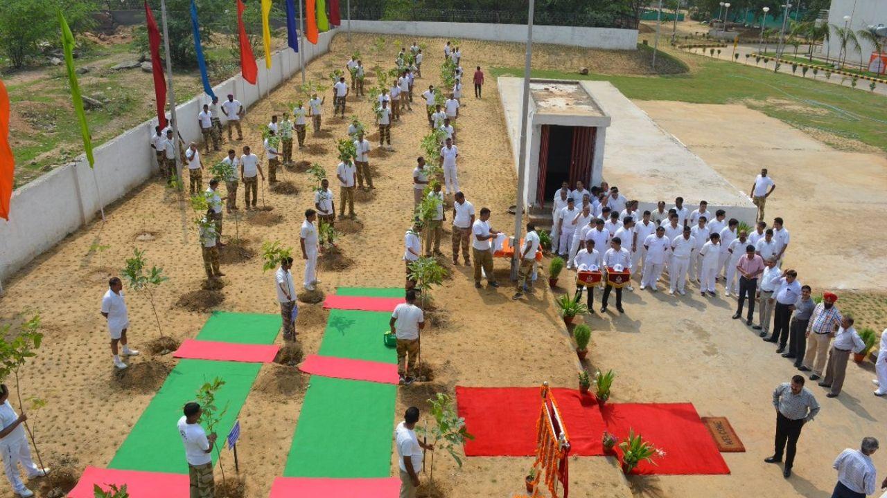 The nationwide initiative was part of a larger plantation campaign led by Union Home Minister Amit Shah, who participated in a tree-planting programme with personnel of the Border Security Force (BSF) in Tripura. As part of the campaign, CISF carried out simultaneous plantation drives across all its 13 operational sectors, including the Airport Security Command, nuclear installation units, industrial zones and training centres spread from Guwahati to Chennai and from Navi Mumbai to New Delhi