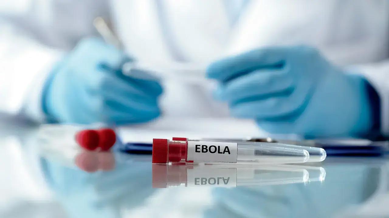 DR Congo Ebola cases rise to 635, recoveries reach 30: Govt Representation pic