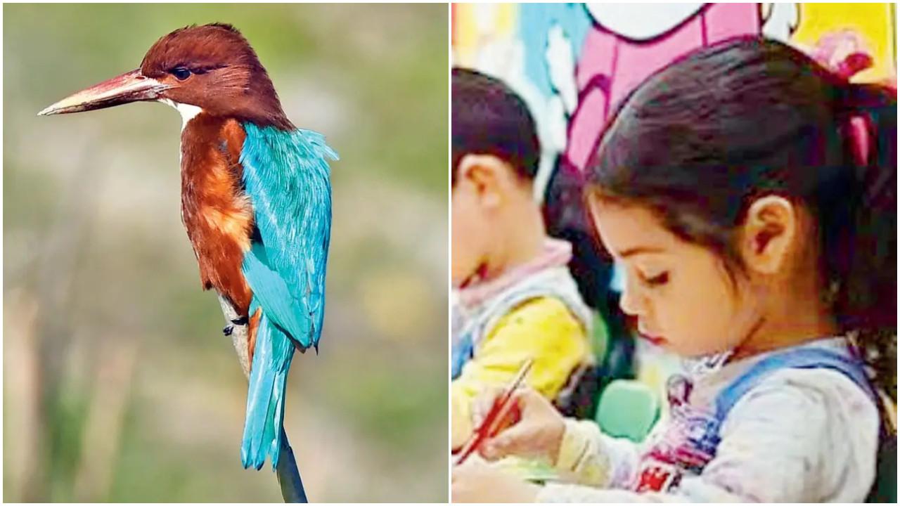 PICS: Check out these 8 unique events in Mumbai this weekend Here's your complete guide to events in Mumbai this week. Photos Courtesy: File pics