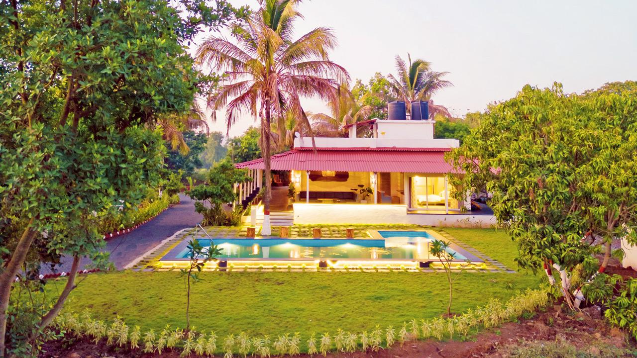 The Chlorophyll Estate