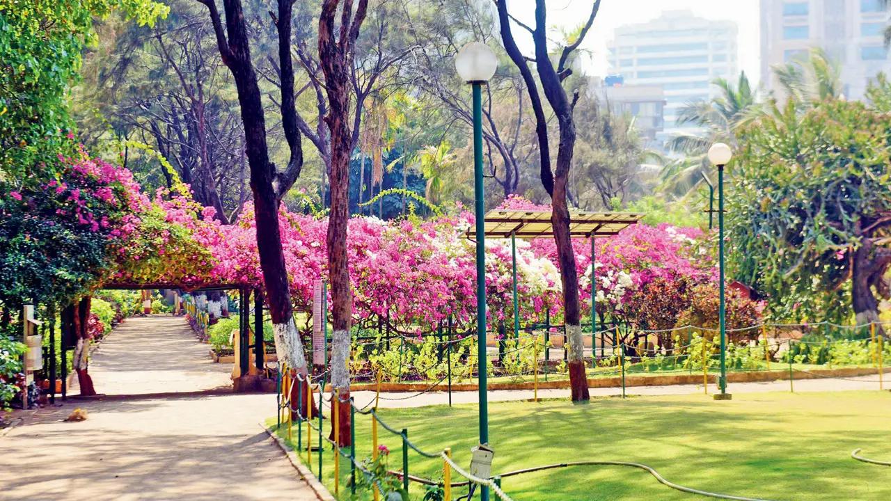 Designed in the shape of trees, the Solar Trees are expected to enhance the visual appeal of gardens while generating clean energy. File Pic