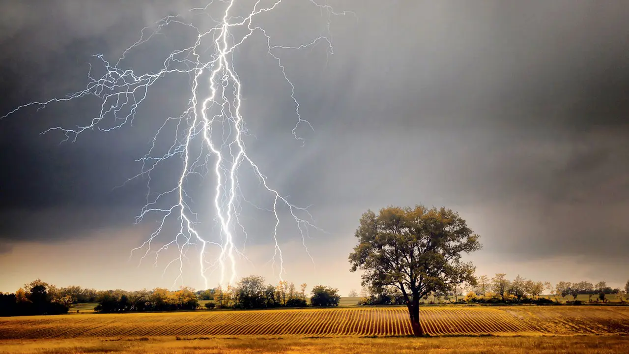 Lightning strikes kill eight across Jharkhand, including women and children
