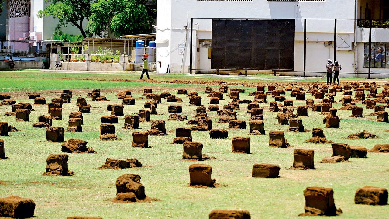 Mumbai Diary: Wednesday Dossier Pic/Ashish Raje
