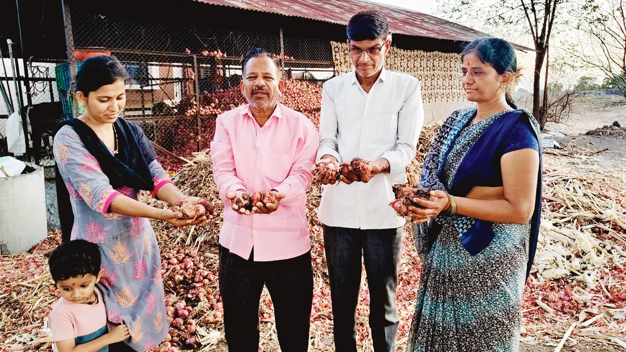 Yeola’s onion farmers (from left) Ankita Khillare, Rajendra Shinde, Sharad Khillare, and Yogita Khillare hold rotten produce. PICS/By SPECIAL ARRANGEMENT