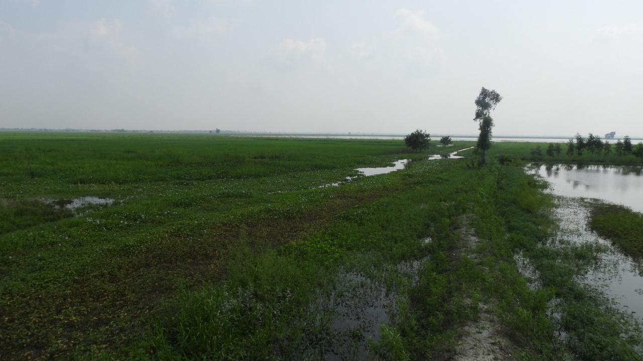 "India&rsquo;s unwavering commitment to protecting our natural surroundings and wetlands in particular is clearly reflected in this feat. Over the years, efforts to conserve and rejuvenate wetlands have been strengthened through greater community participation, science, innovation and awareness initiatives. These endeavours are helping preserve biodiversity, secure ecological balance and create a greener future for coming generations," PM Modi said.