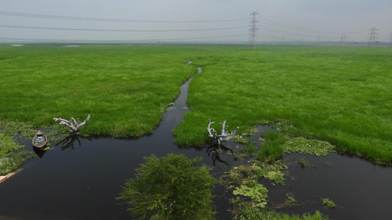He further said that India&rsquo;s strong commitment to protecting its natural environment, particularly wetlands, is clearly reflected in this achievement.