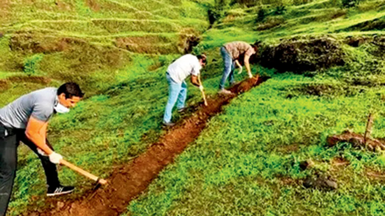 The effort turned the area into a green haven. PICS COURTESY/INATUREWATCH