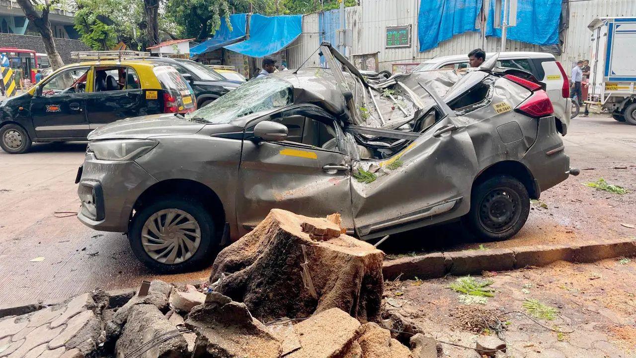 A Mumbai-Pune cab was crushed when the tree fell at around 4.45 am. Pics/Atul Kamble
