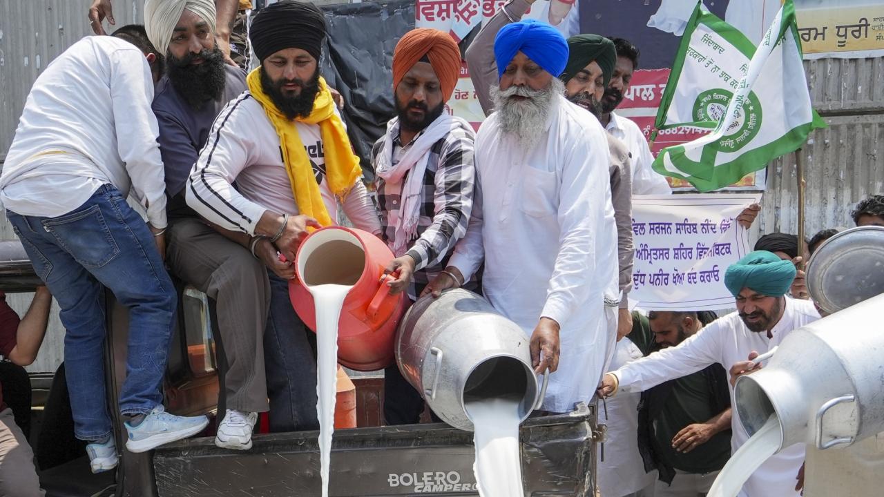 They alleged that such practices were threatening the survival of many dairy farms They alleged that such practices were threatening the survival of many dairy farms