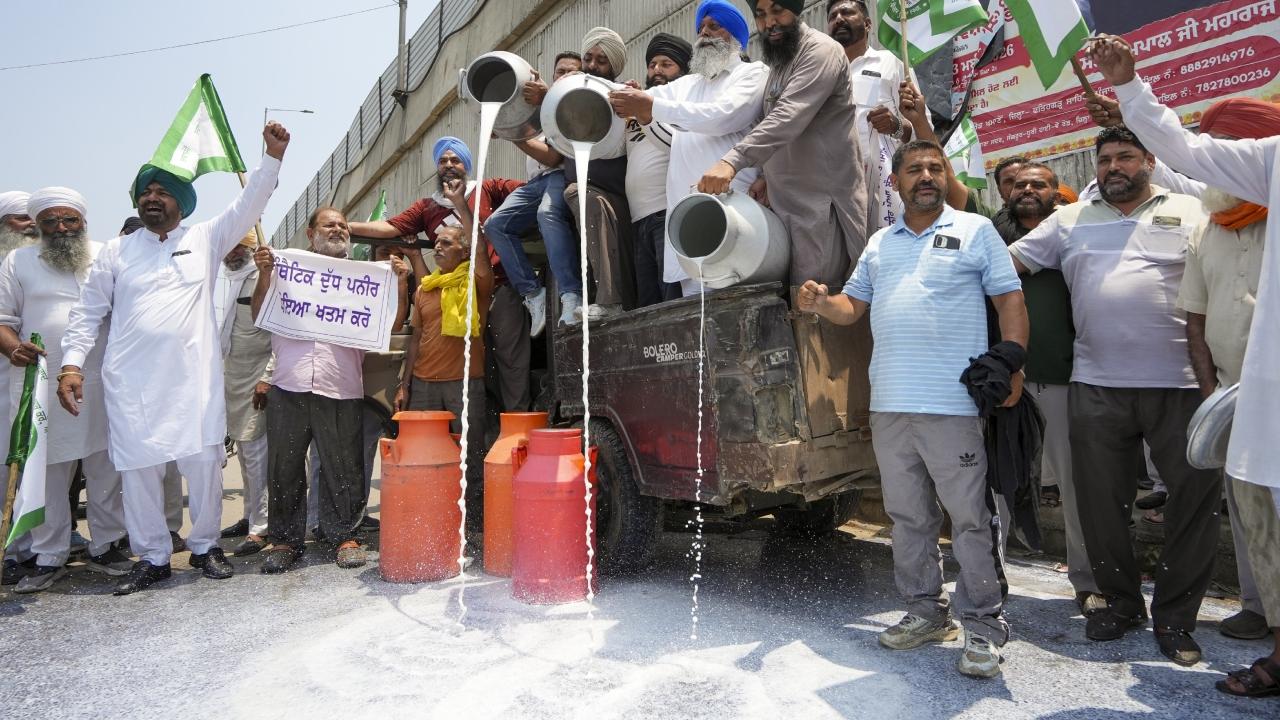 Farmers alleged that adulterated products are being sold at lower prices, which keeps the market price of pure milk artificially low Farmers alleged that adulterated products are being sold at lower prices, which keeps the market price of pure milk artificially low