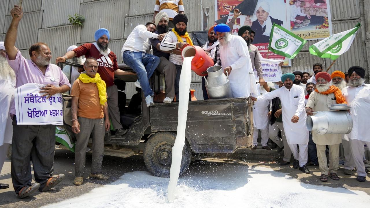 The protesting farmers accused authorities of failing to curb the large-scale production and sale of adulterated milk and dairy products. Pics/PTI The protesting farmers accused authorities of failing to curb the large-scale production and sale of adulterated milk and dairy products. Pics/PTI