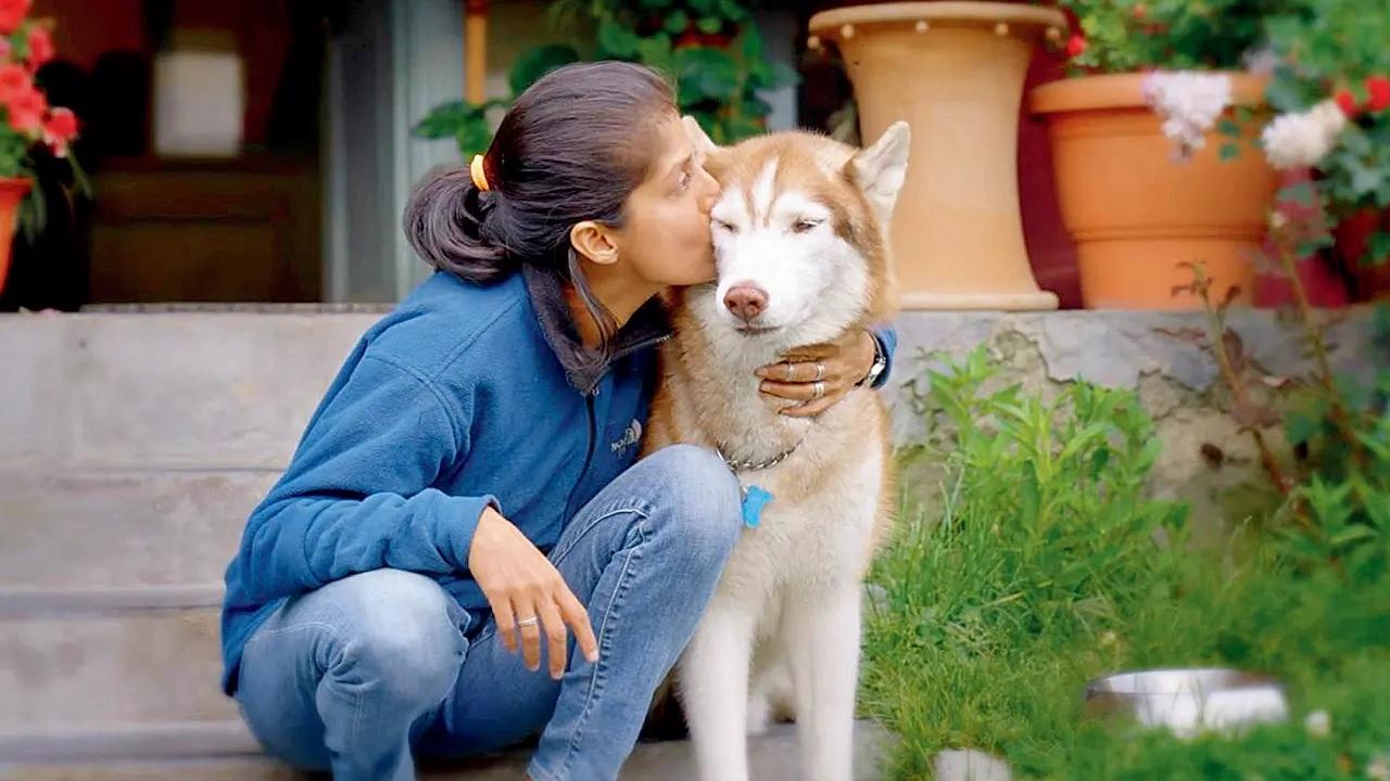 A canine promiseWatch a special screening of Oslo &ndash; A Tale of Promise, a documentary that follows the extraordinary bond between Oslo, a Siberian husky, and conservationist Pooja Bhale, presented by John Abraham, followed by a Q&amp;A on human-animal coexistence with Bhale.
Time 4.30 pm At Education Centre, Dr Bhau Daji Lad Museum, Veermata Jijabai Bhosale Udyan, Byculla WestLog on to @bdlmuseum Entry Museum ticket prices apply (Registrations mandatory)