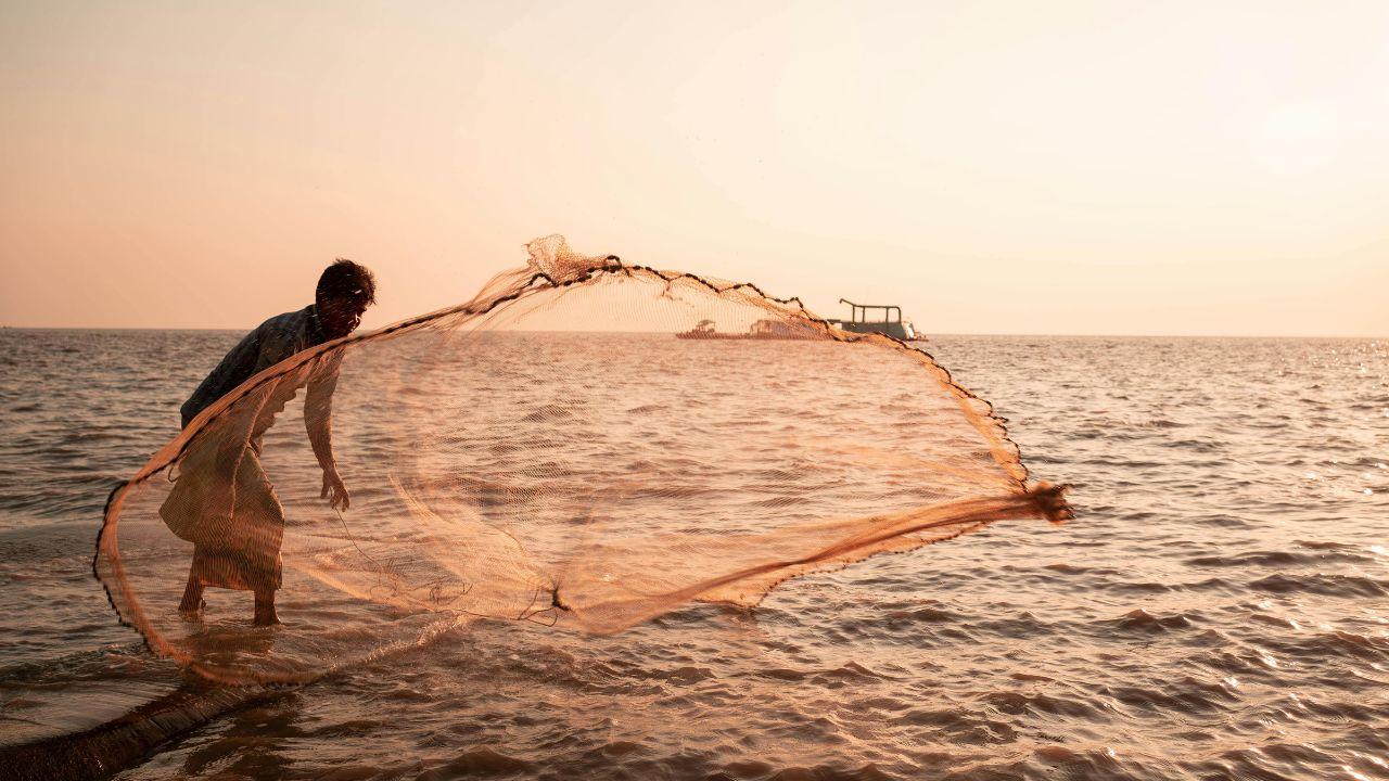 India’s seafood exports hit record Rs 73,890 crore in FY26: Export authority The seafood sector remains a major foreign exchange earner and a crucial source of livelihood for millions involved in fishing. Representational Pic
