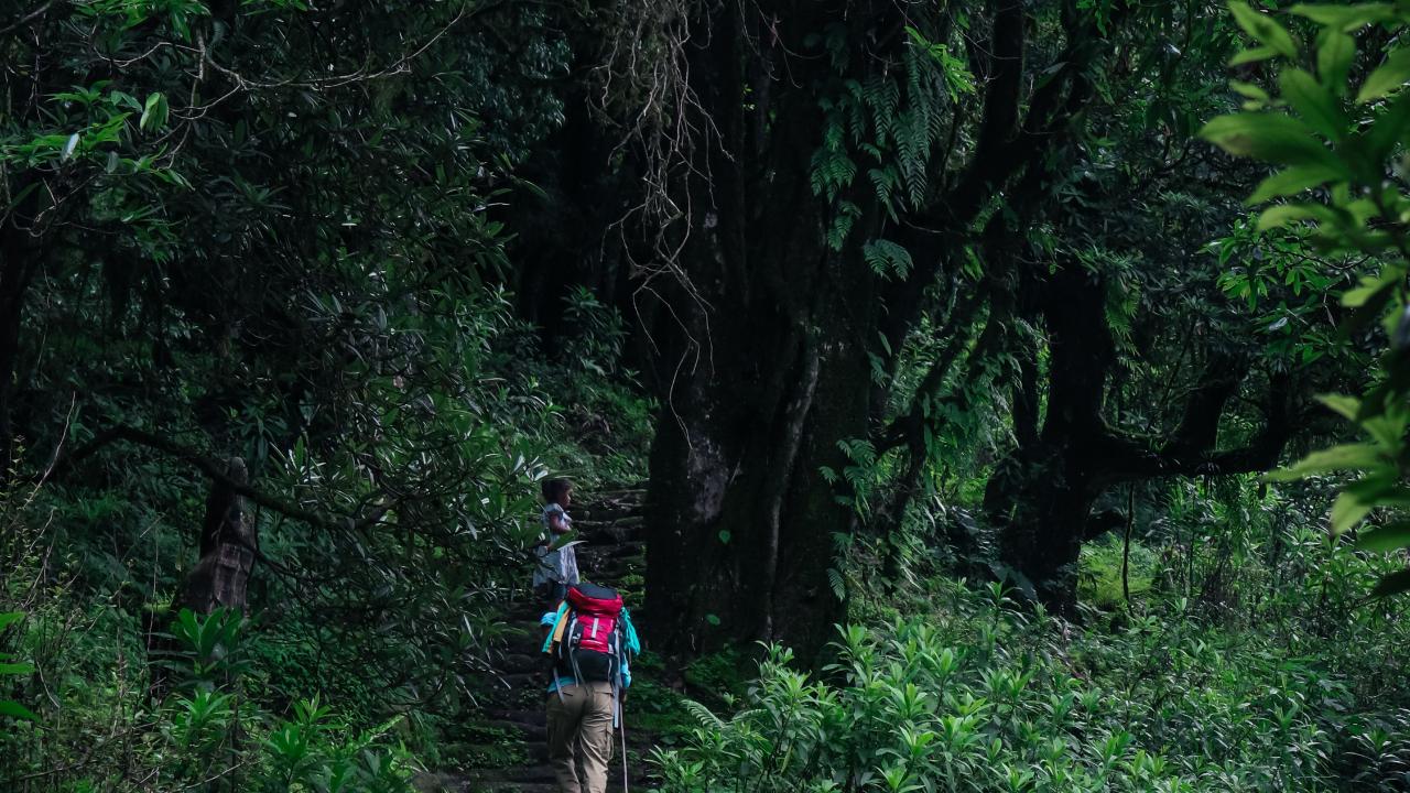 BackpackA 20 to 30 litre backpack with a rain cover is essential, but not enough during heavy Sahyadri downpours. Always keep valuables inside dry bags or waterproof pouches or plastic.