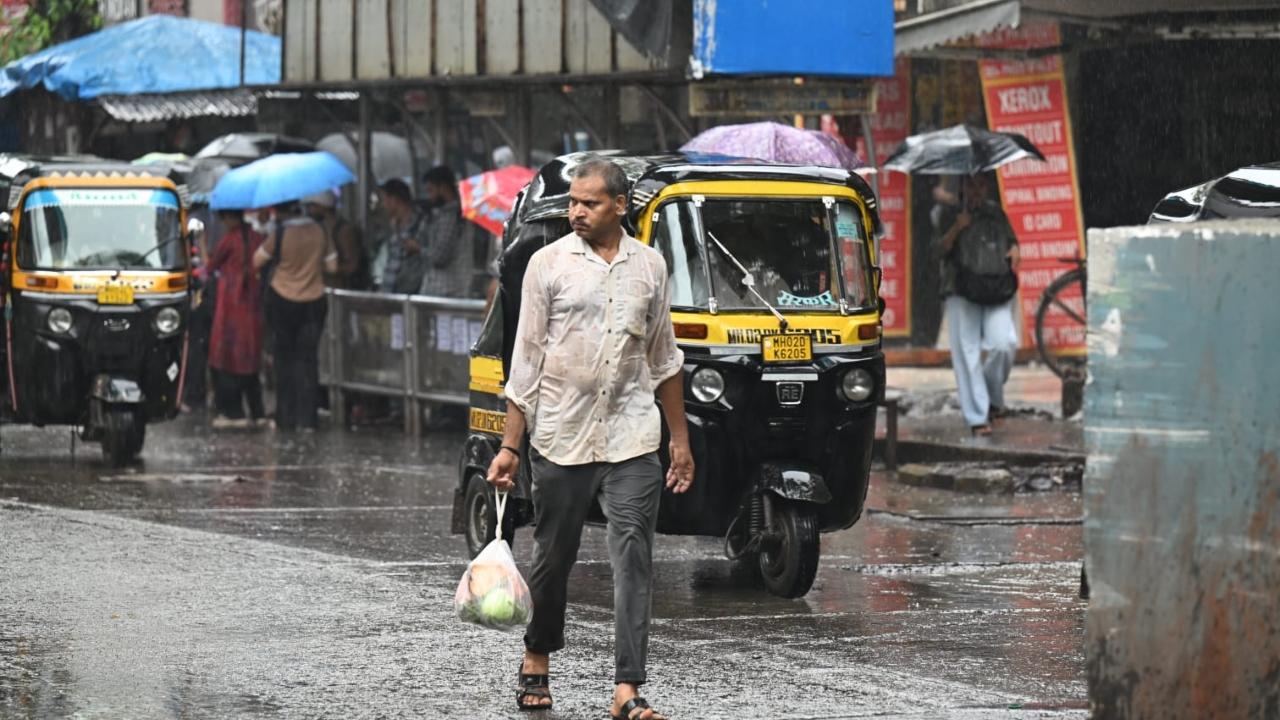 IMD predicts heavy rains in Mumbai, Thane and Palghar An orange alert was issued for Raigad, Ratnagiri, Sindhudurg, Amravati, Gondia, Nagpur and Ghats of Kolhapur. Representational Pic/File