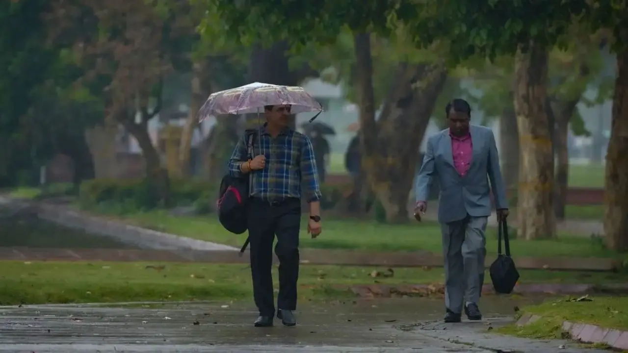 Delhi: IMD issues yellow alert for rain, thunderstorms and gusty winds IMD predicts rain across Delhi-NCR (File pic)