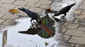 IN PHOTOS: IMD warns of severe heatwave in Mumbai and nearby districts